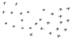 countthestars26092011.png